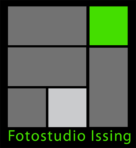 Michlsfotostudio - Fotostudio Issing, Hochzeitsfotografen · Video Erbshausen bei Würzburg, Logo