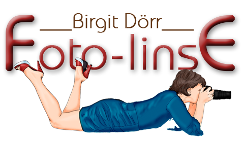 Logo von Foto-Linse Logo von Foto-Linse, Fotografie & Video Würzburg